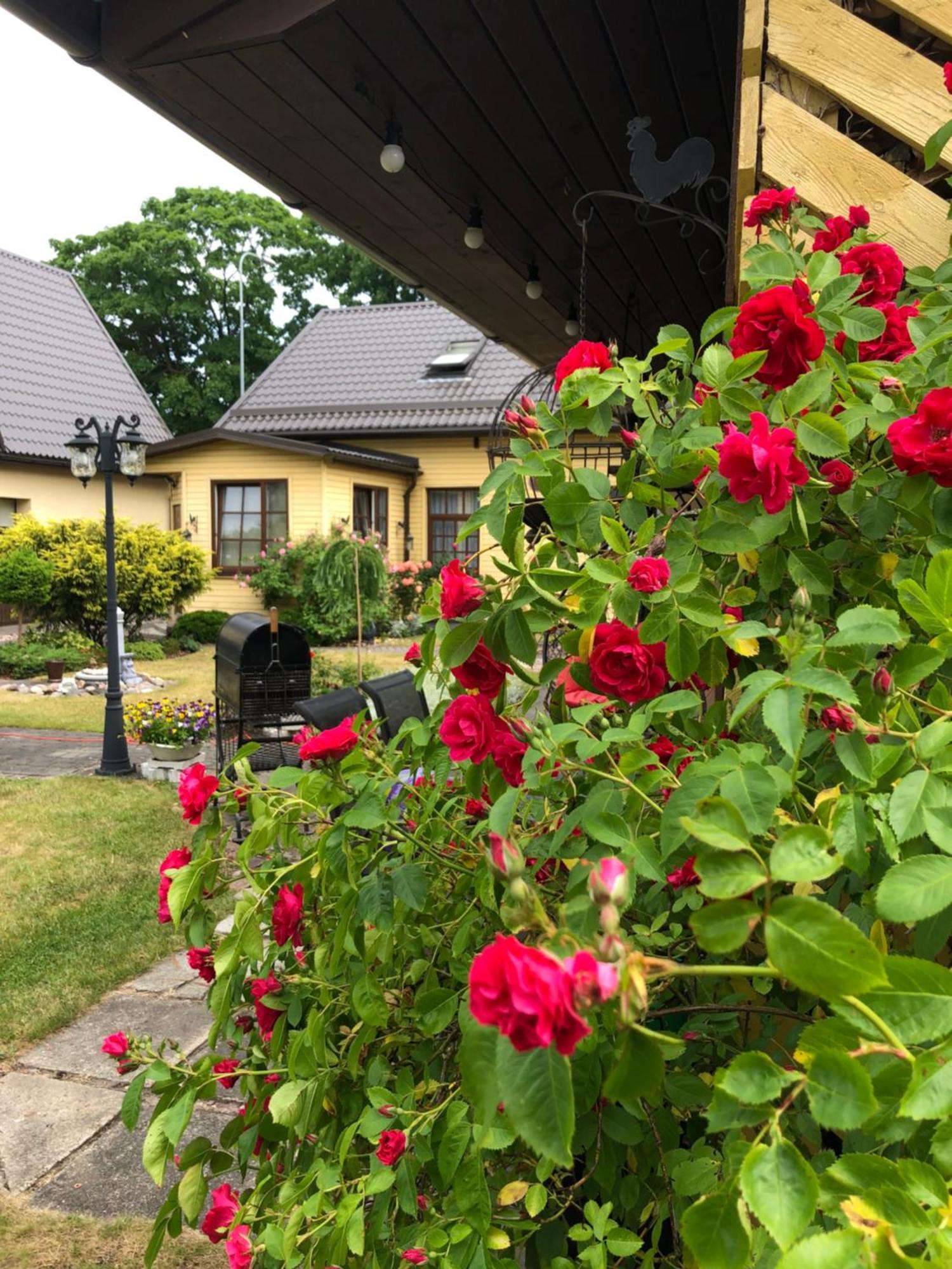 Apartamento Anni Ventspils Exterior foto