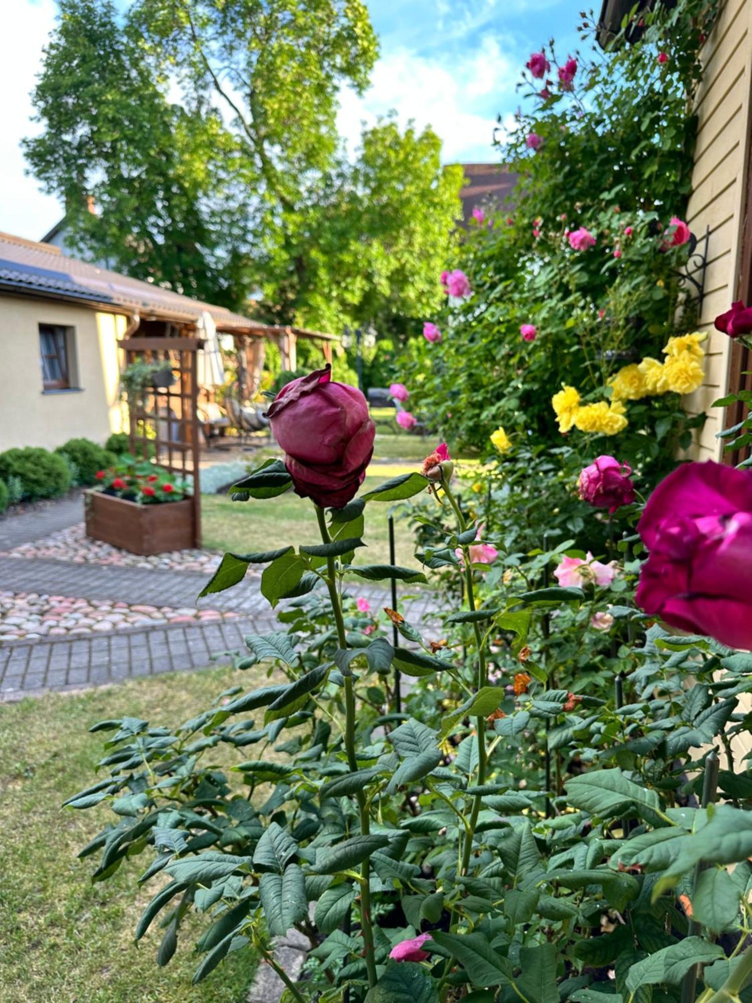 Apartamento Anni Ventspils Exterior foto